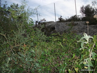 Cava Bern